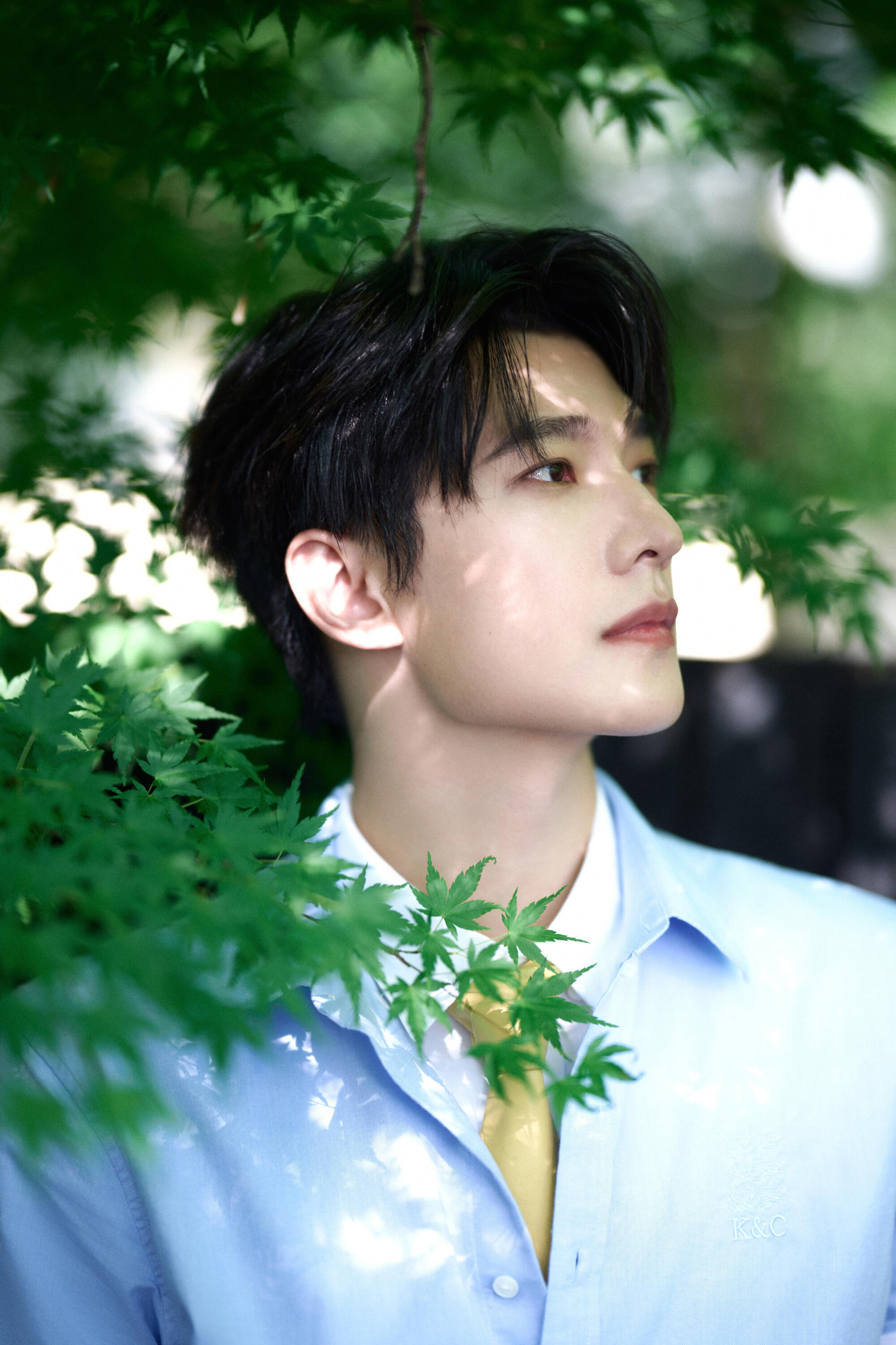 杨洋不让江山 都给我去看预告啊家人们！杨洋骑马那个镜头帅到离谱，打戏流畅到我想截