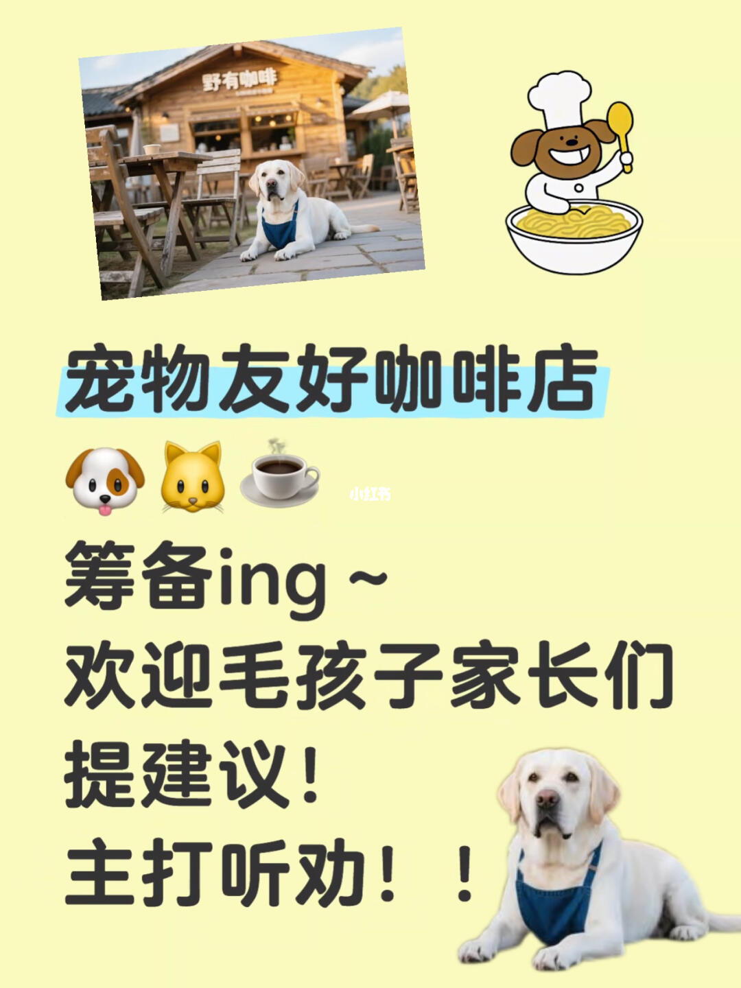 🐾筹备中！宠物友好咖啡店求建议！主打听劝！！