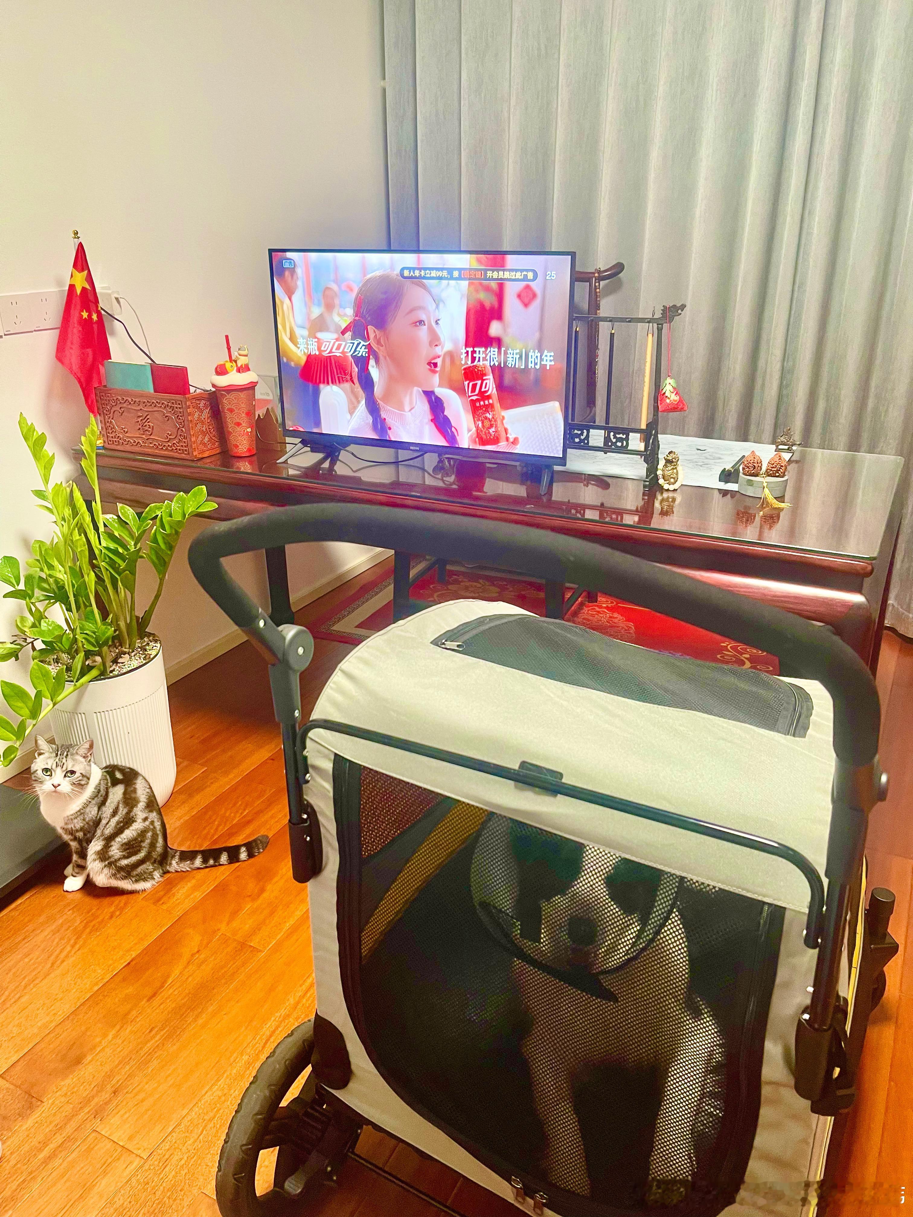 今晚都搬到我书房来招财了，晚安💤网页链接