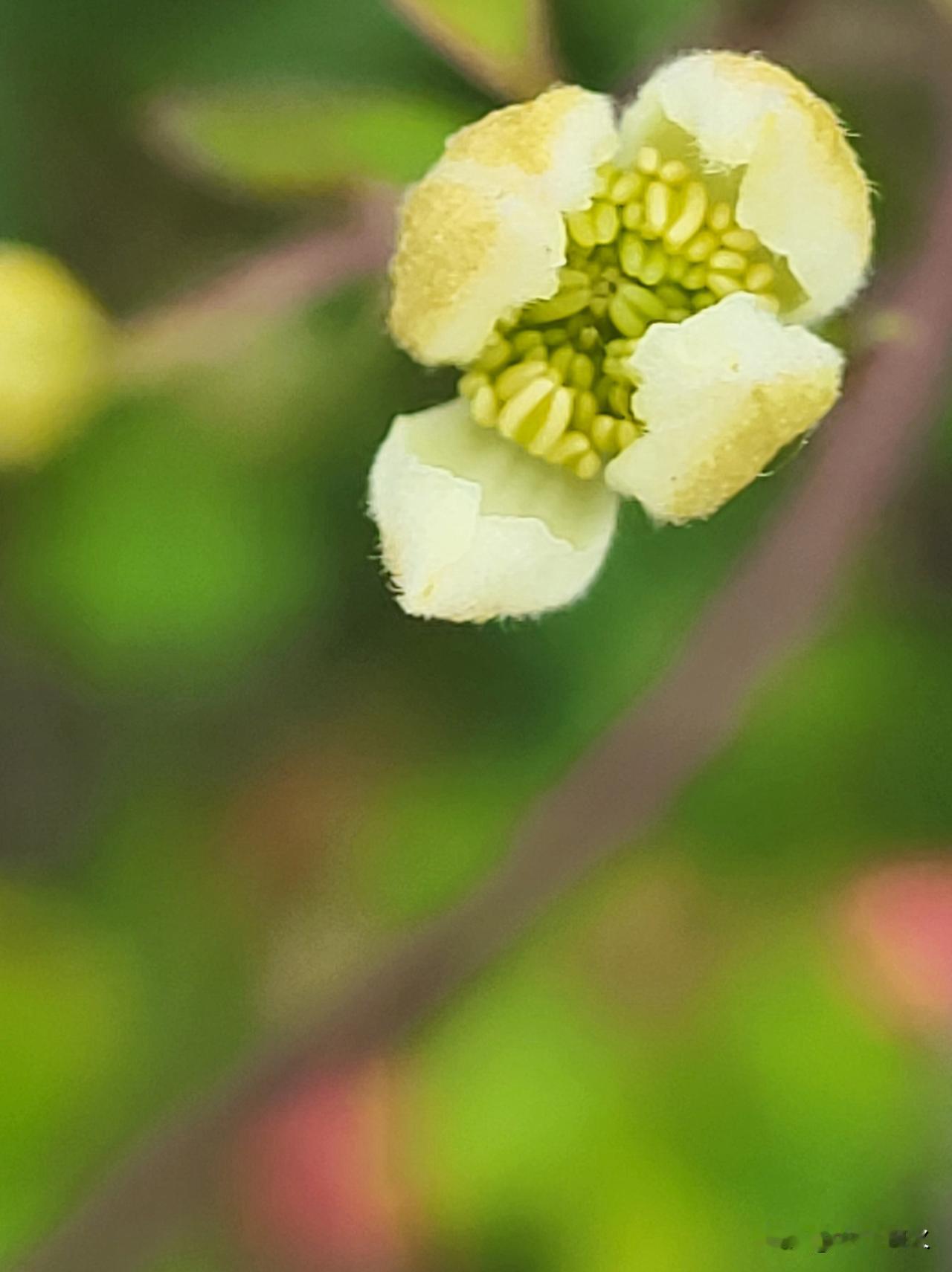 光恰好洒落在它应在之处——或许是斜阳为杯沿勾勒出金边，或许是树影于墙面上演绎皮影