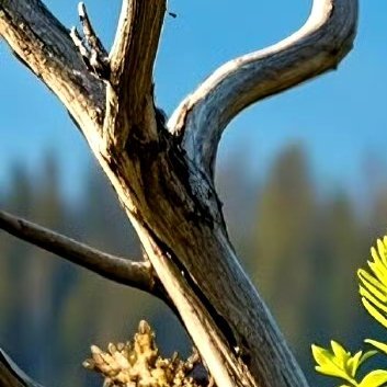 阳光信用‎阳光‎信用 ‎每日一善 世上没有真正的阴霾，只有晦昧的眼睛。要保有一颗