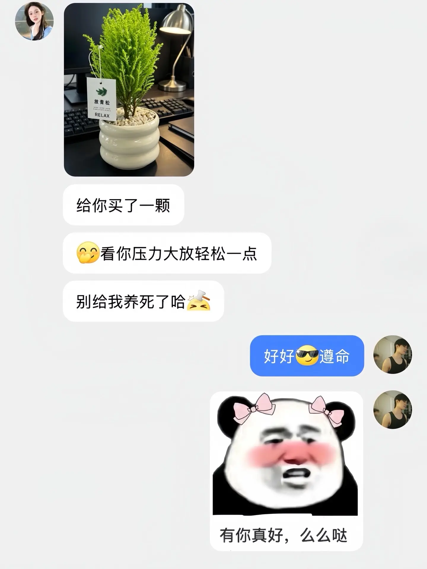 朋友圈一句压力大，我女朋友就买了一盆放青松盆栽🪴过来。绿绿的，心情都好多了