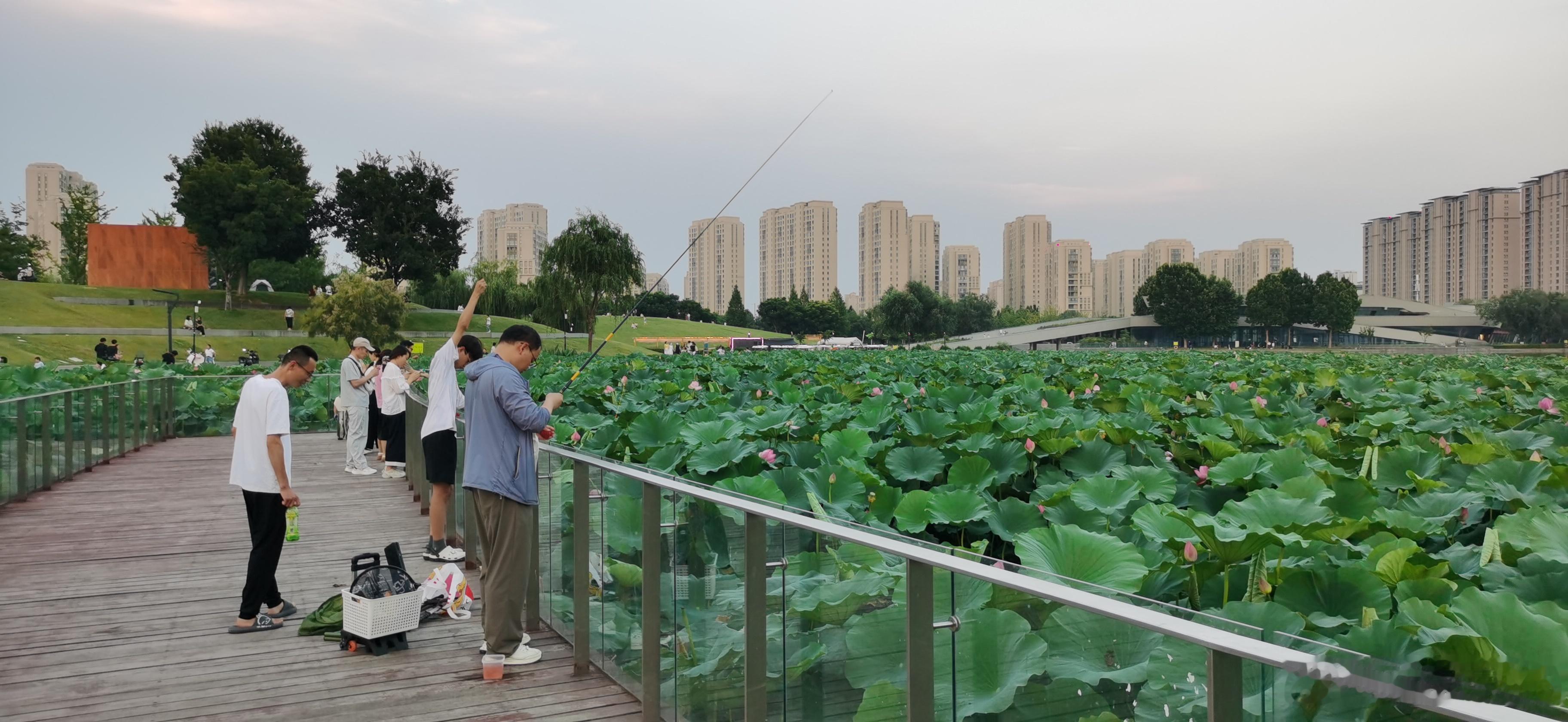 钓鱼佬的安全有救援队守护，安全感满满 