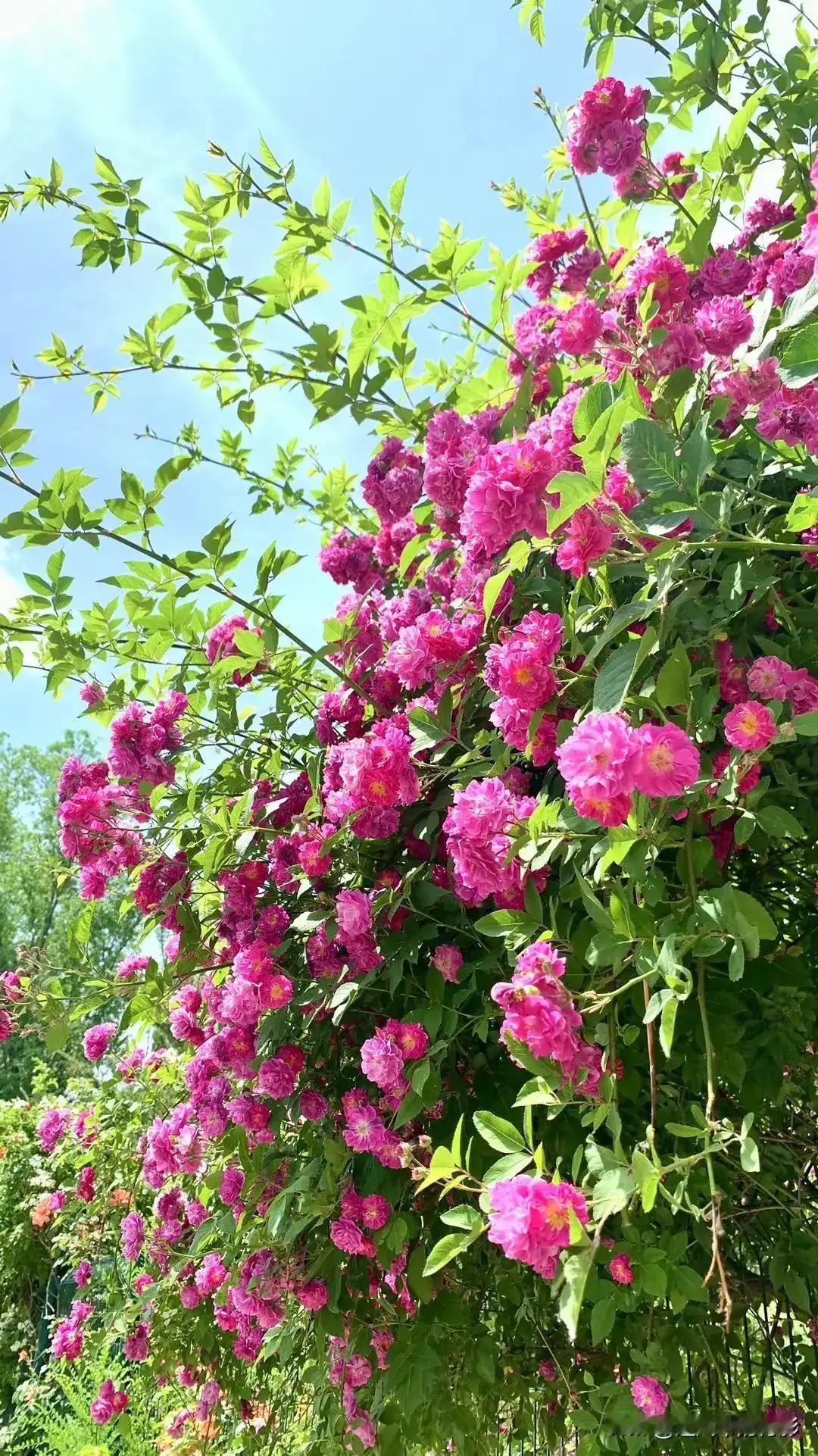 你是否曾为孩子的叛逆行为焦头烂额？每天面对那张充满抗拒的脸，心里既有无奈，也夹杂