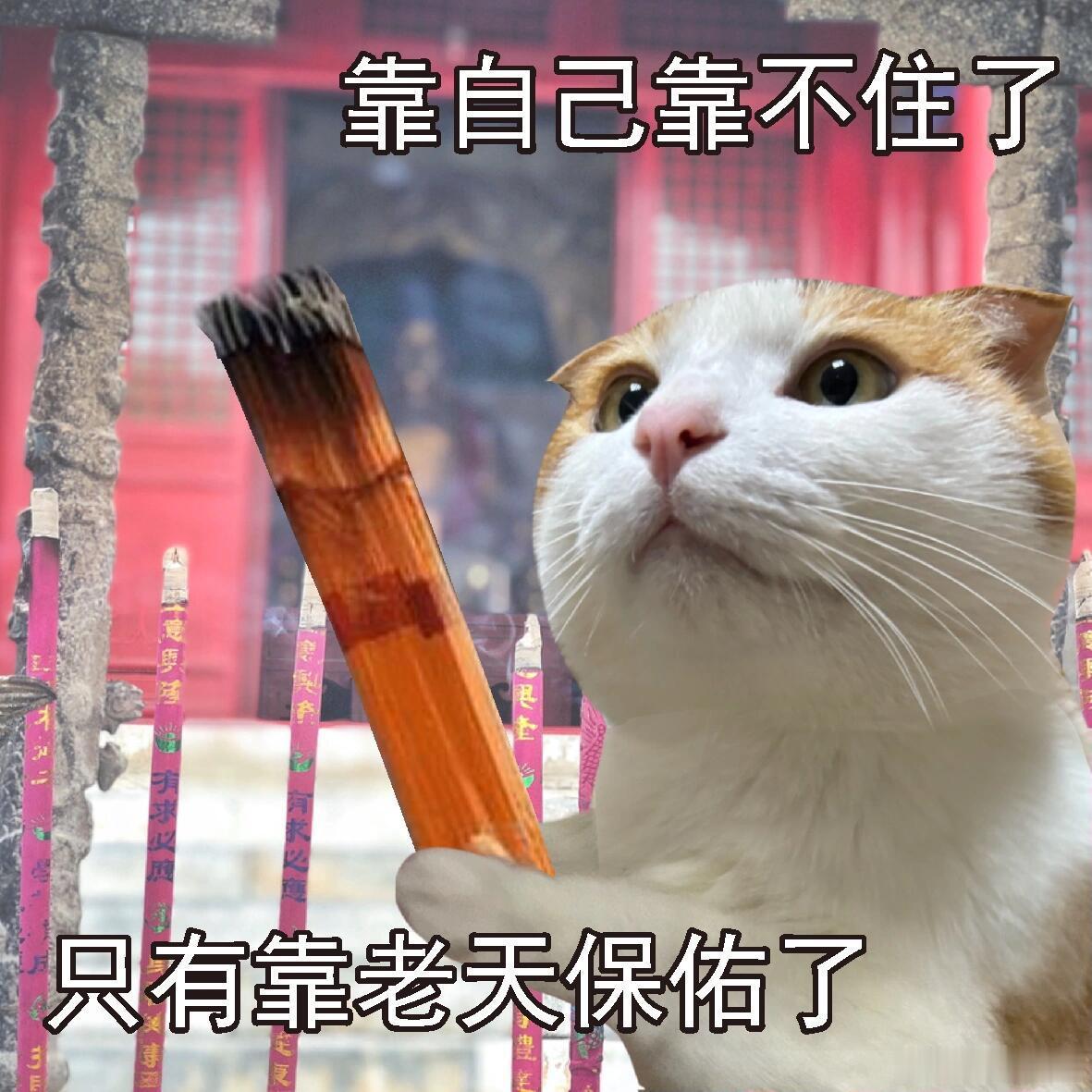 求助：进新房要不要算日子？我和南人都不迷信，东西都准备好了就住。但是我妹我妈就极