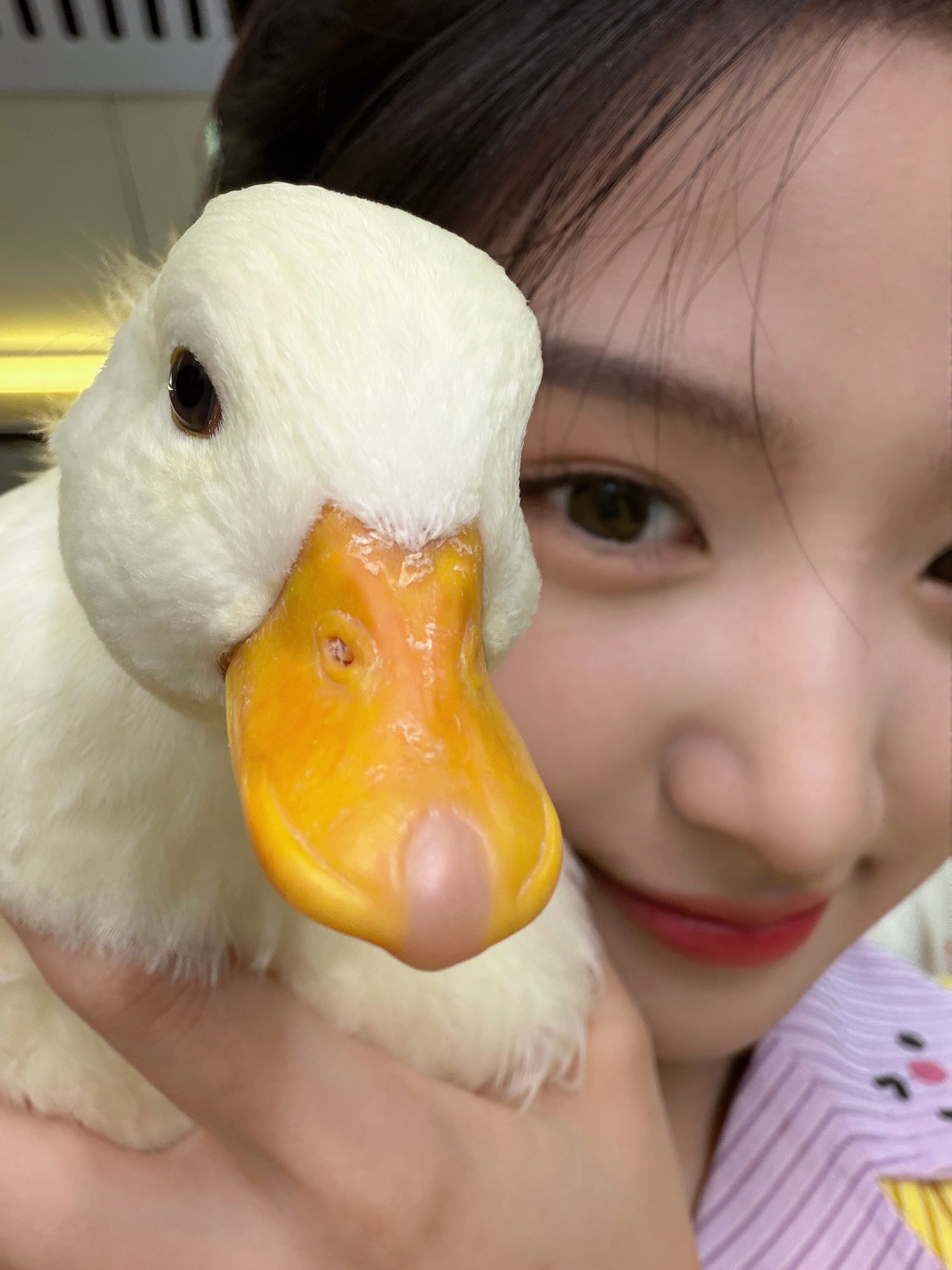卢昱晓怎么如此萌卢昱晓怎么如此萌卢昱晓怎么如此萌卢昱晓怎么如此萌卢昱晓怎么如此萌