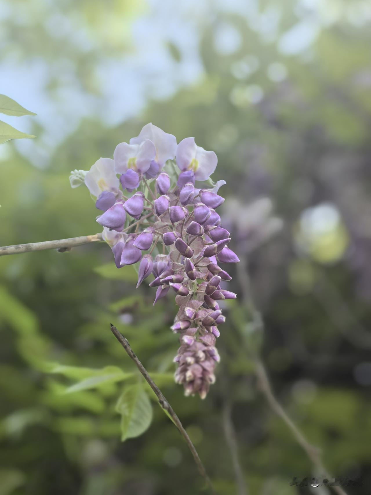 一个从未独自生活过的人会认为单身不好，很可怜。

而一个常年单身之人，平静地生活