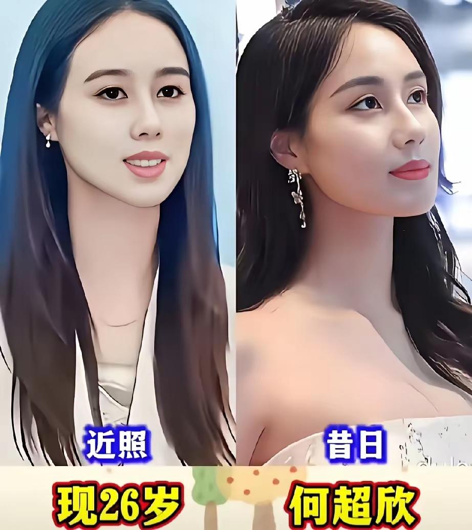 龙生九子，九子不同。赌王的11个女儿长相也是差别很大，即使是同一个太太生的女儿，