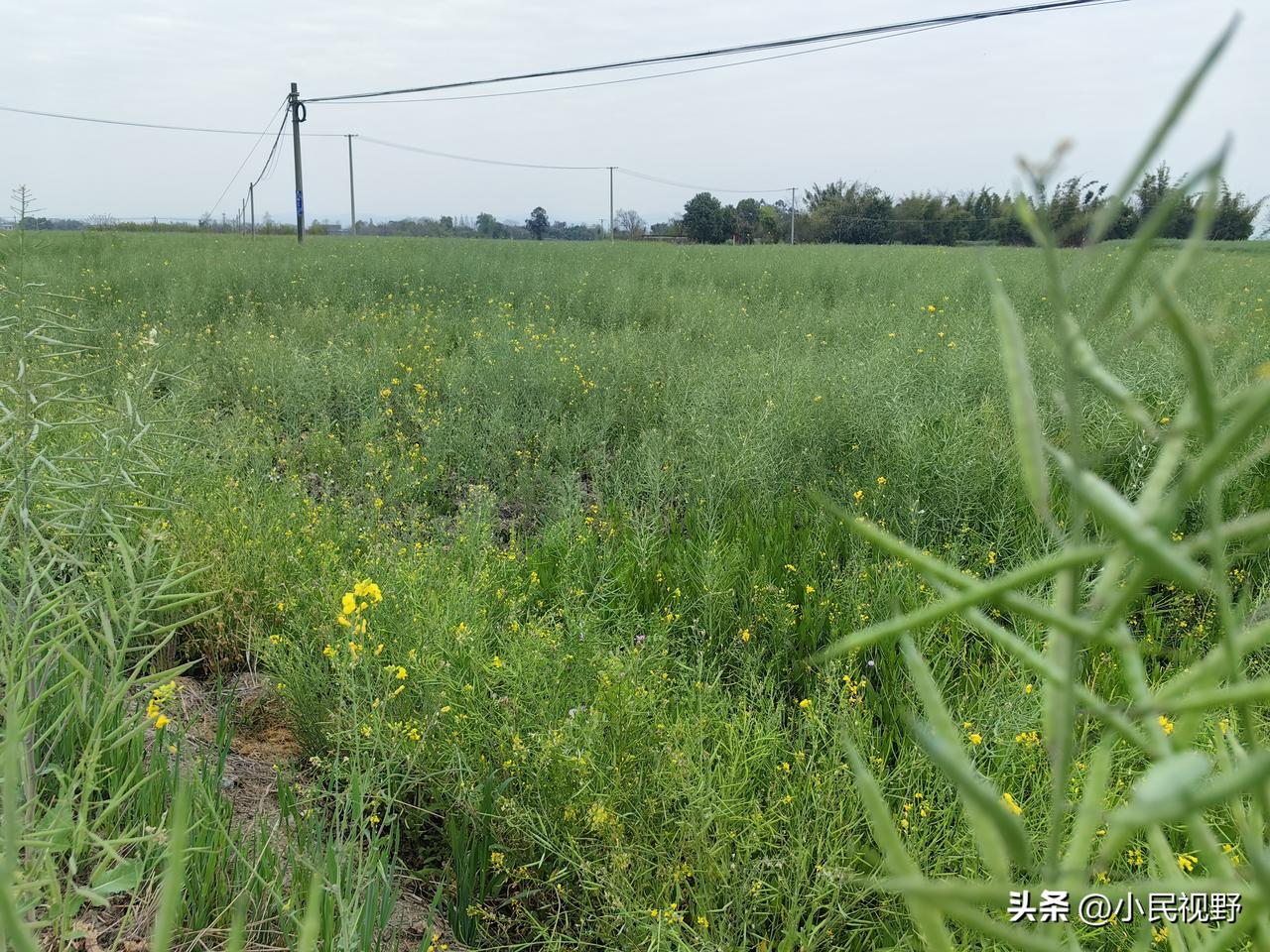 做过人事的哥们给我说，网上质疑公务员职级晋升不公的，基本都是混日子、想坐享其成的