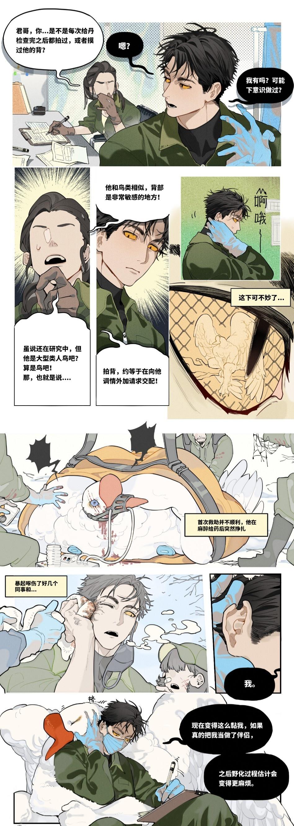 关于耳朵上的伤口 ​​​