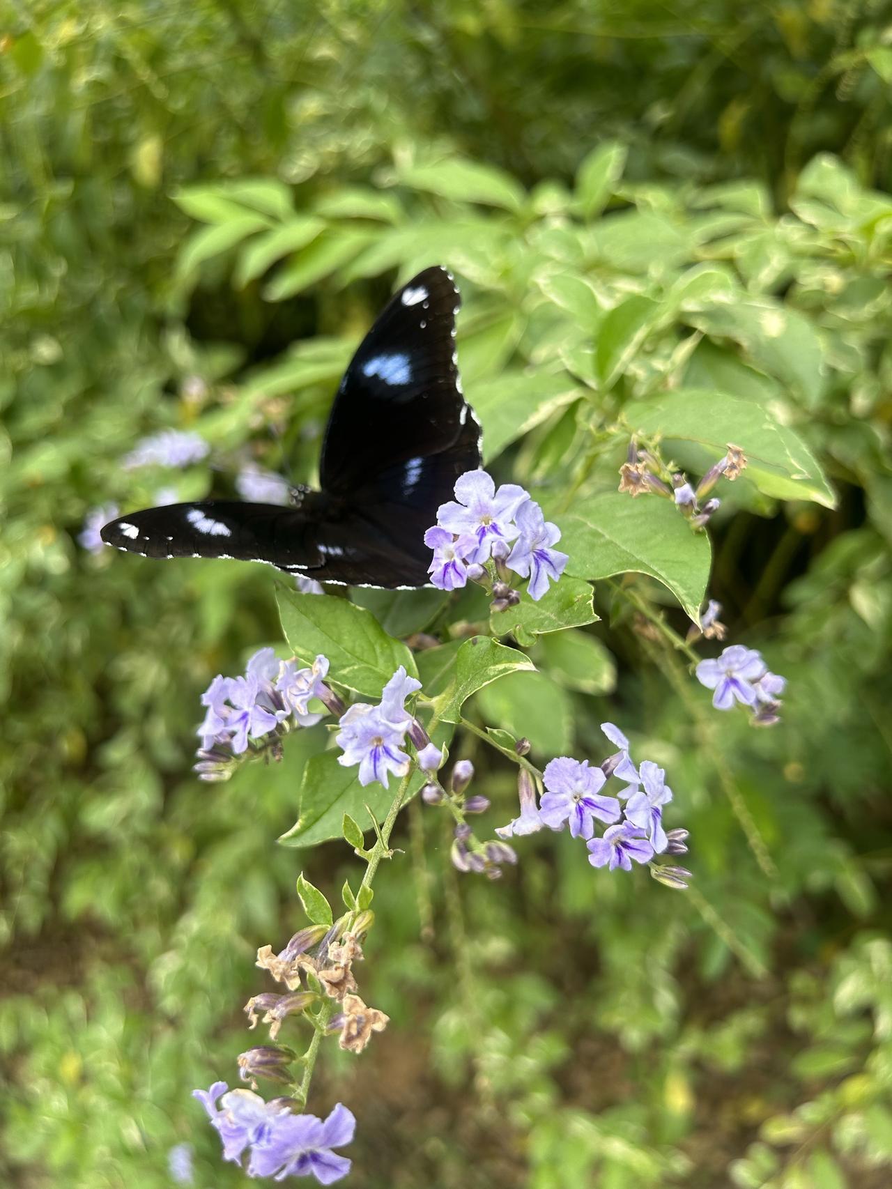 钱，真不是万能，
但没钱万万不能！

每月稳定7000元，
生活开销稳如泰山；