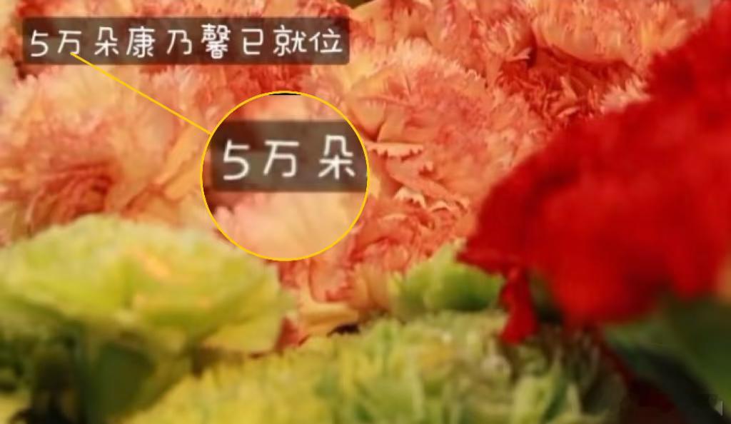这不是一场简单的线上直播，是刘宇宁专门用来弥补没能去到二巡现场粉丝的遗憾。不计成