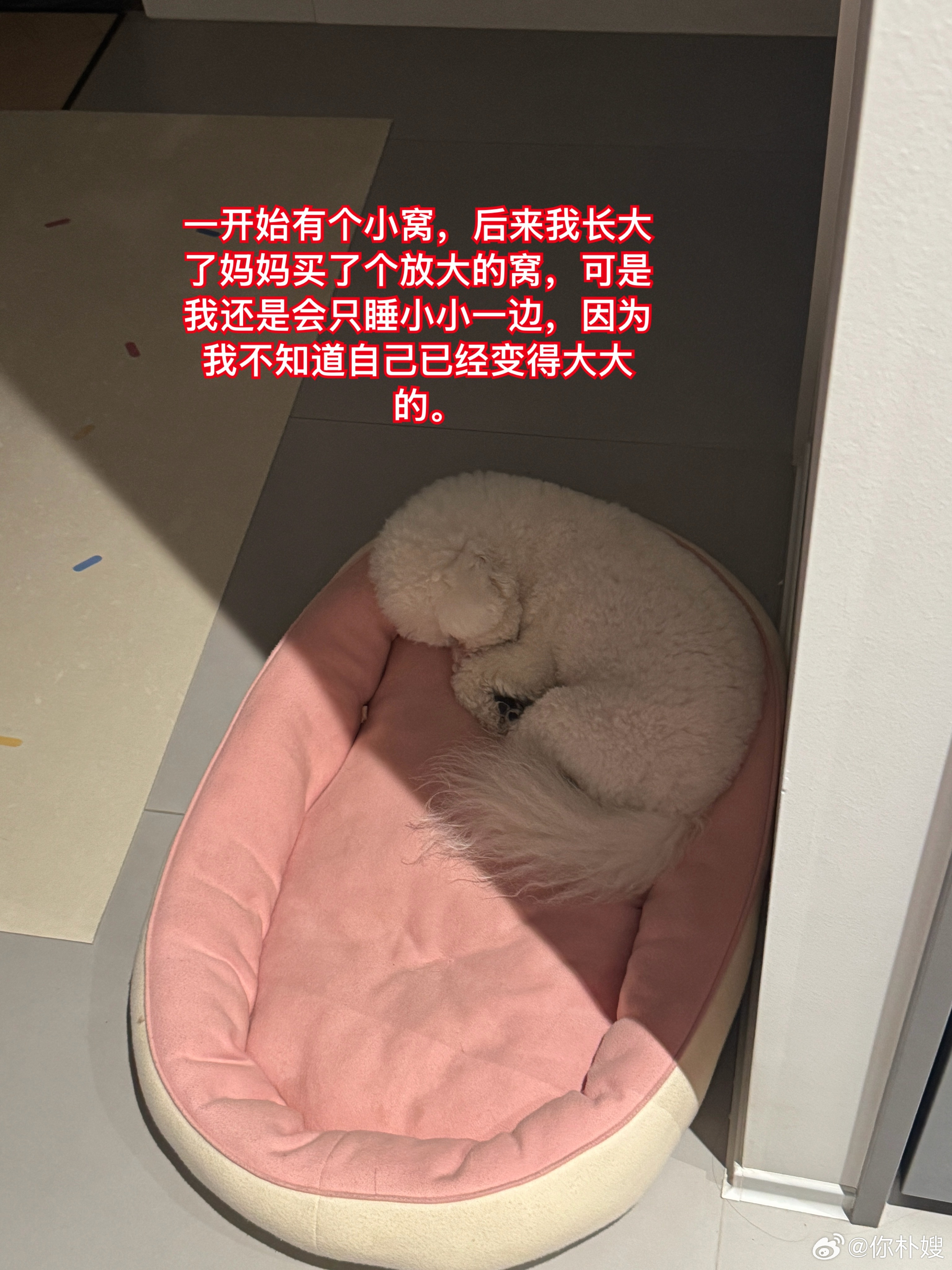 我家子涵 