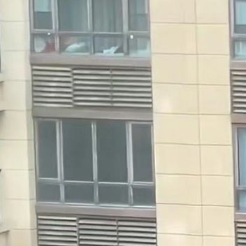 第一次见有人撸台风羊毛脑洞真的绝了，往玻璃抹洗洁精等着台风暴雨帮忙擦窗户，想法是