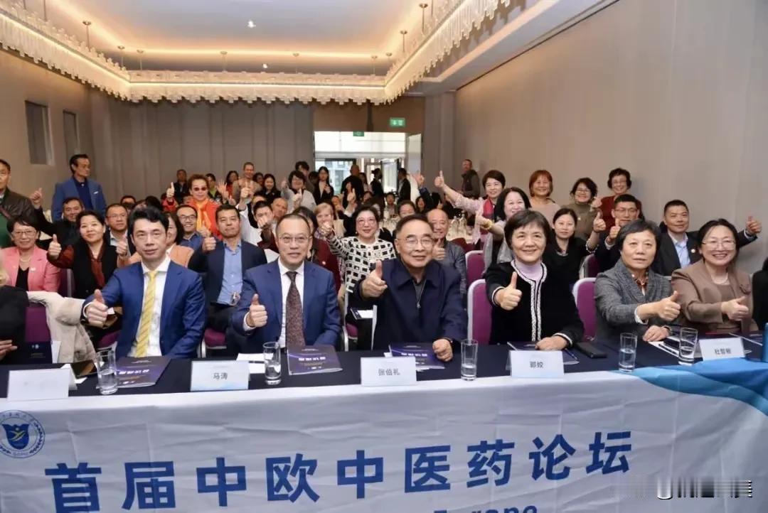 中医黑们又失望了，首届中欧中医药论坛在比利时首都布鲁塞尔召开，来自国内中医界，比