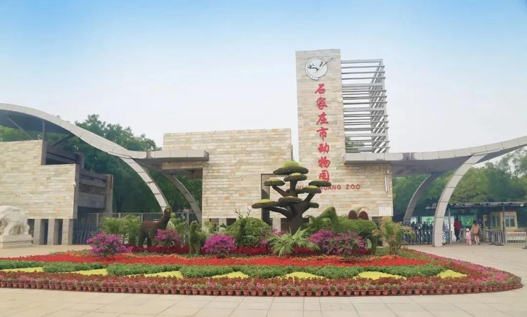 【《石家庄市动物园提升改造方案》通过鹿泉区规委会审议】近日，由石家庄城发投集团所