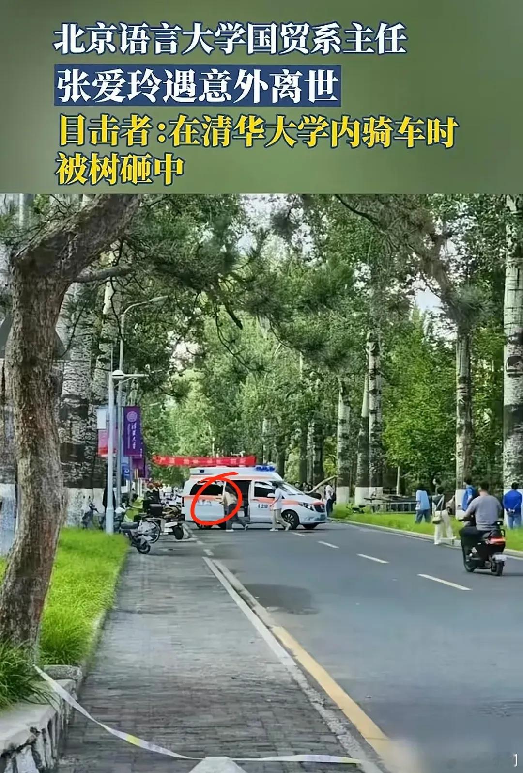 北语张爱玲教授系因意外离世这几天，全网最伤心的应该是北语张爱玲教授的女儿了。本来