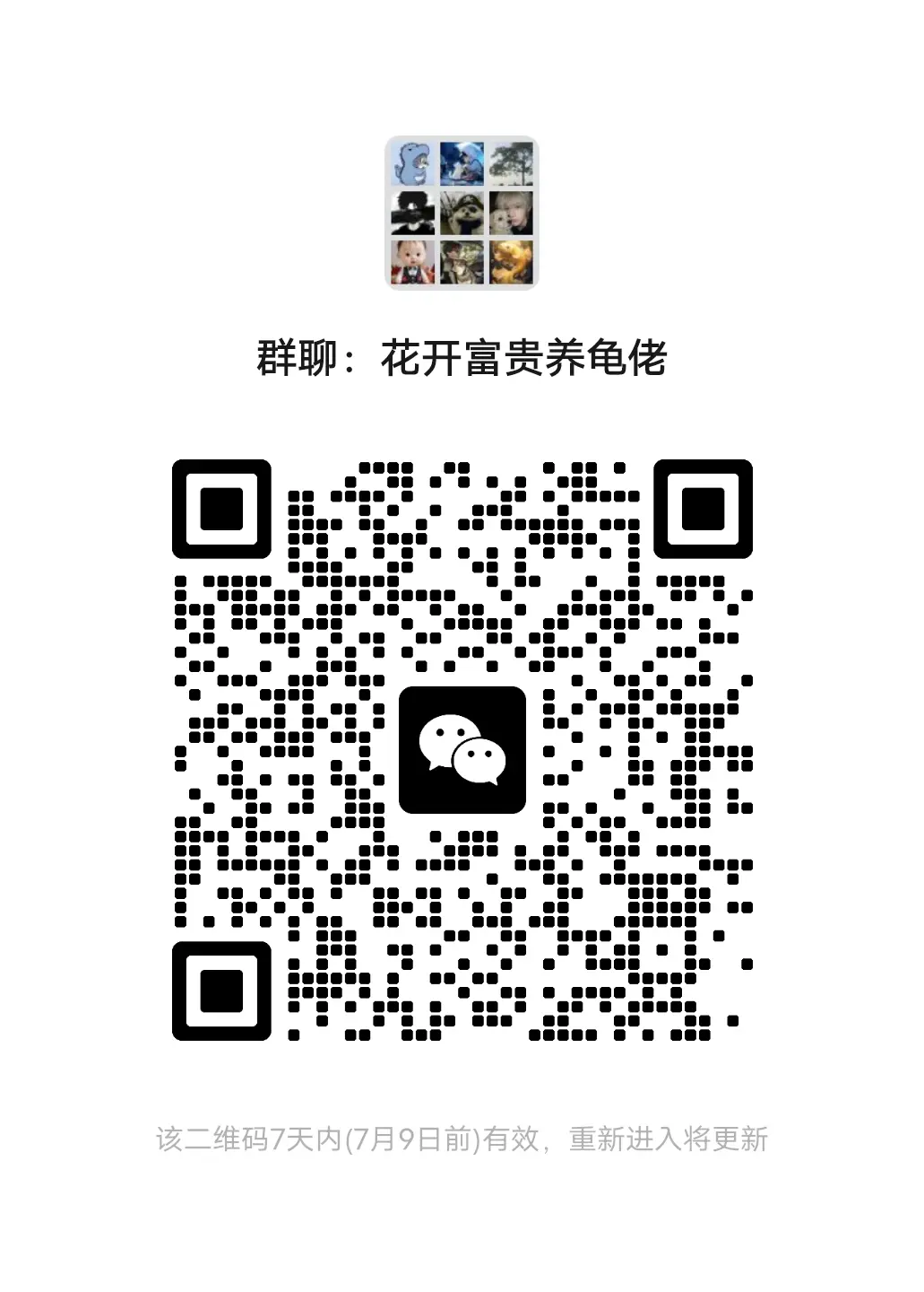 强烈推荐