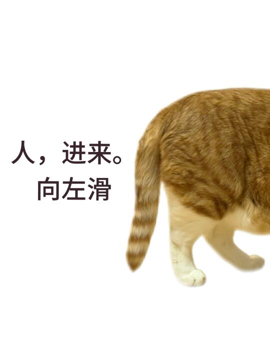 人进来、咪有事找你