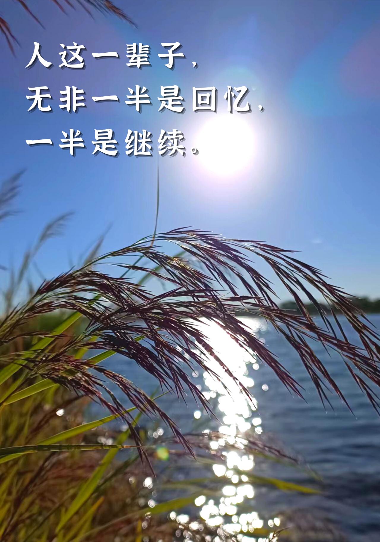 不必替别人扛情绪。
一句很老的话，越品越对味：“别人的情绪，不是你的行李。”
.