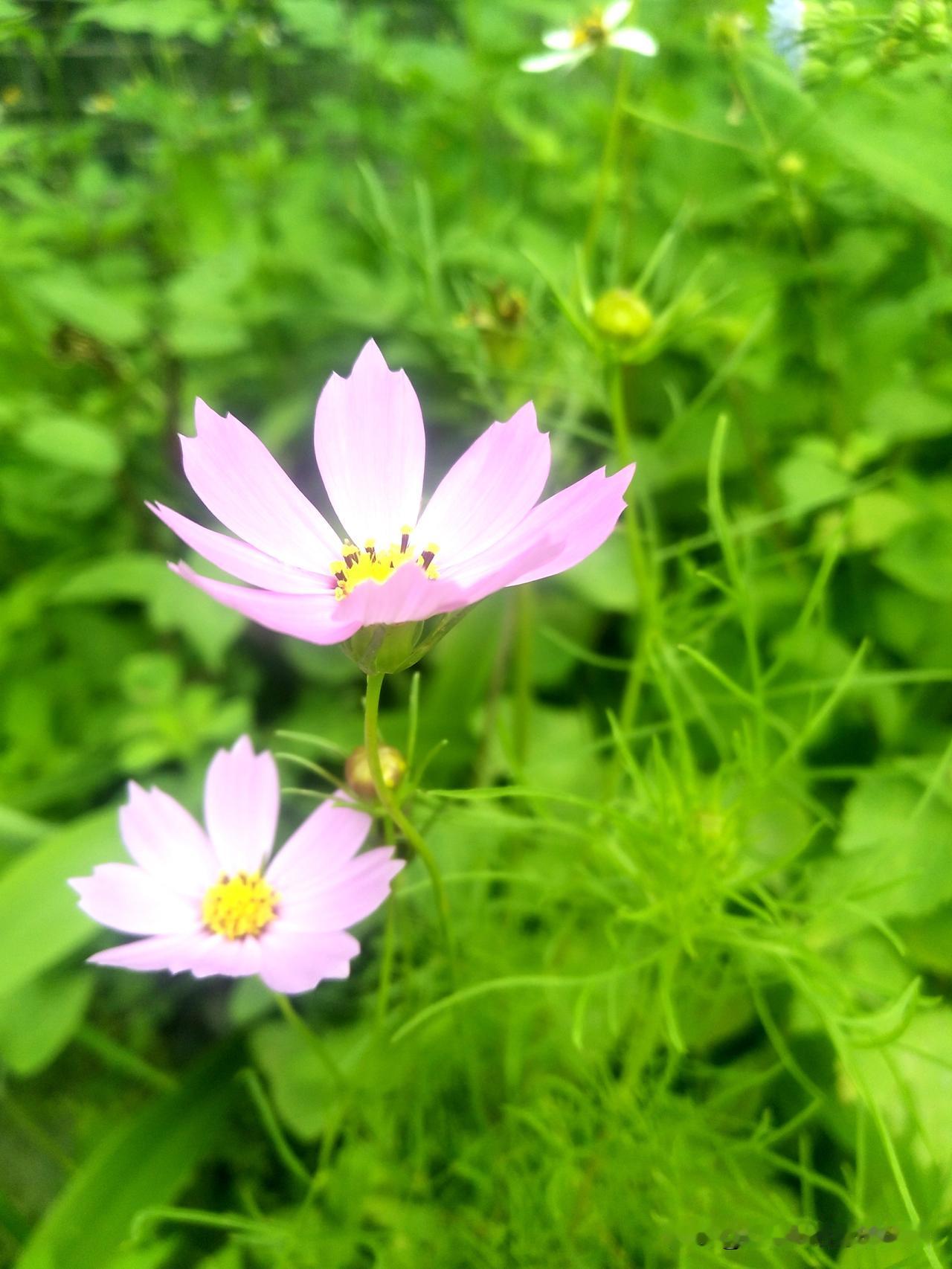我的花花世界