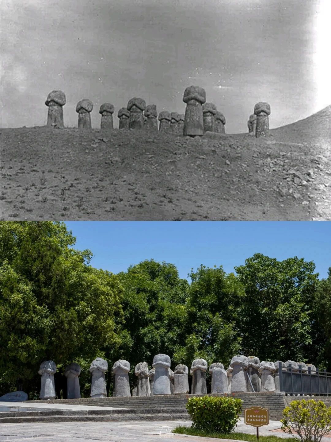 1914年法国汉学家维克多·谢阁兰拍的乾陵老照片。 