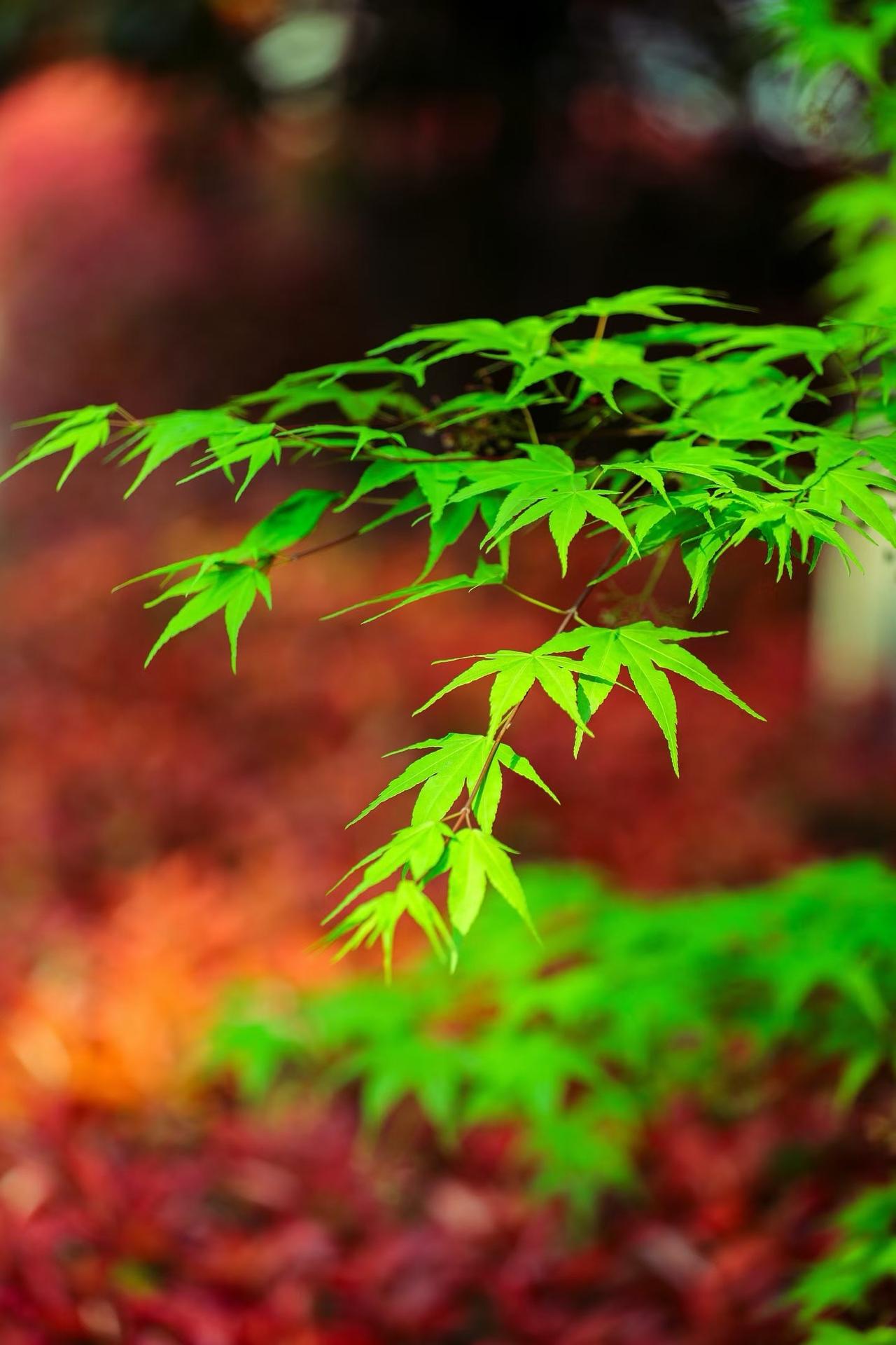 这个女生好像有点擅长自我疗愈

任何一种向往，都要有一定的精神魅力。对于喜欢的事