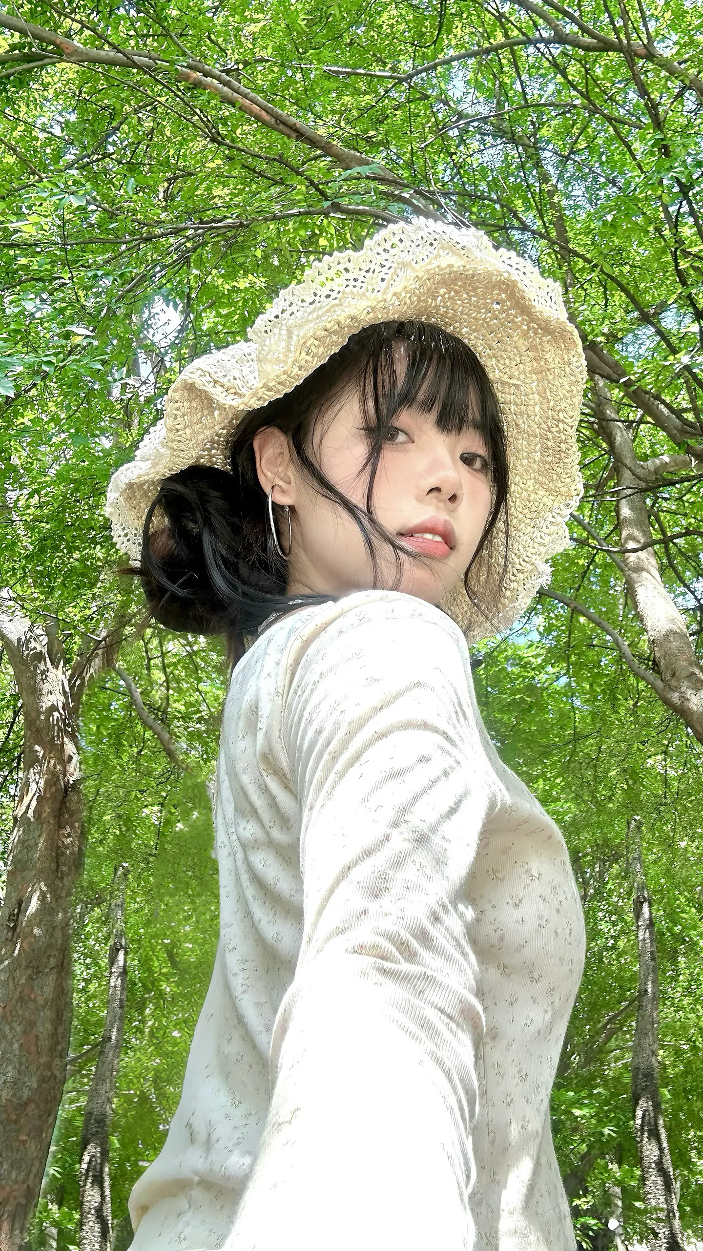 🍏 人类为何如此迷恋绿色。