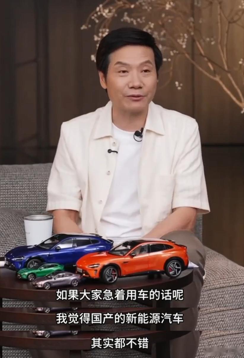 看看雷总直播时说的：如果大家急着用车的话，国内的新能源车其实都不错。雷总劝急用车