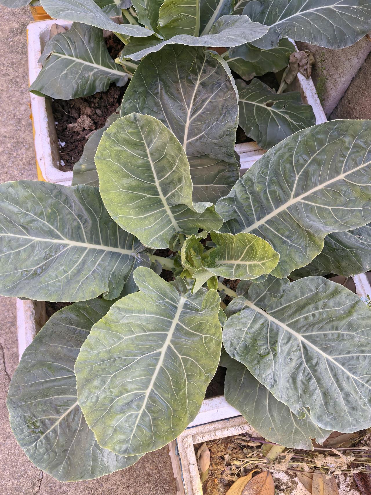 今天在小区里巡视，一五十岁左右女人骑电动车从我身后经过时，主动和我打招呼问好，还