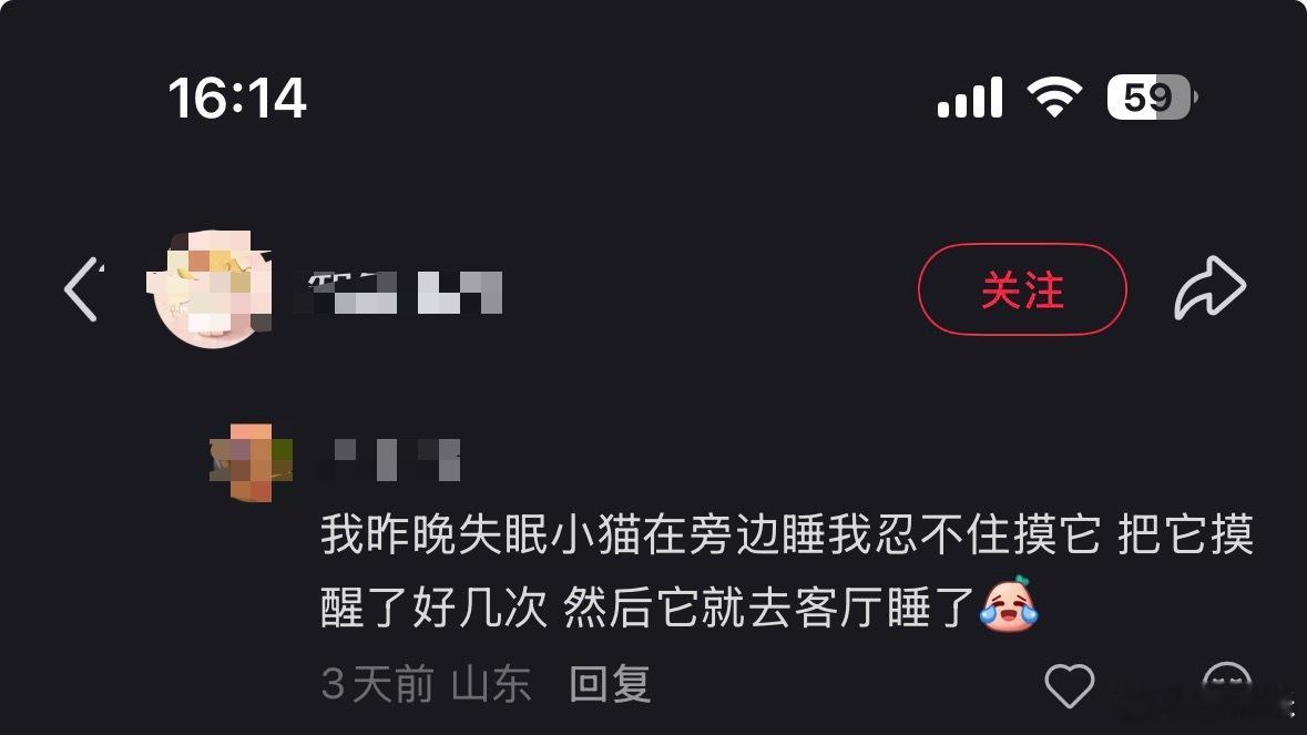 刷到一个帖子在讨论什么样的主人猫咪会更喜欢，这个评论笑死我了条悟一晚上要骚扰小惠