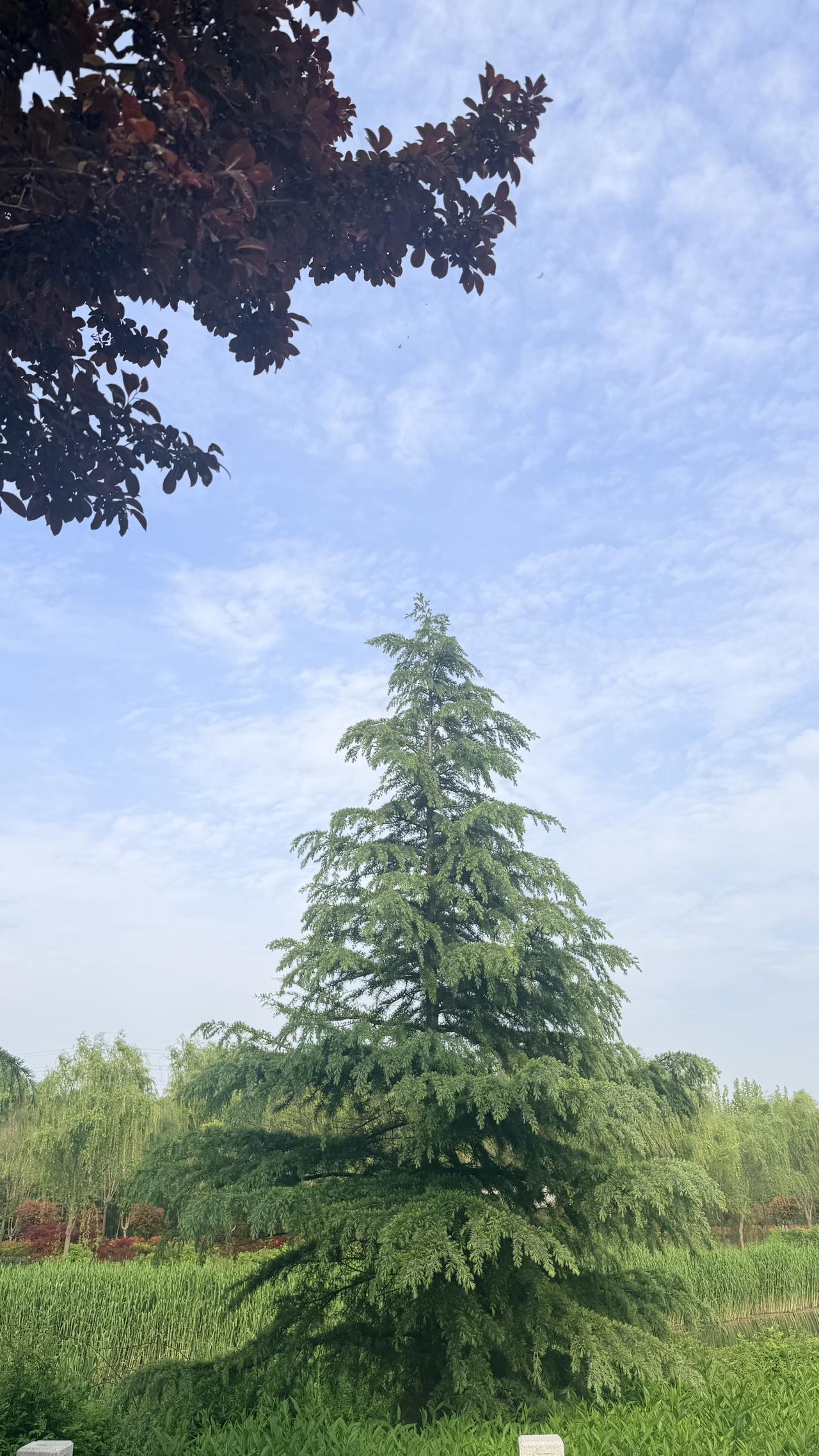 我的今日状态：🏝️旅行度假
我这里的天气：🍂微风