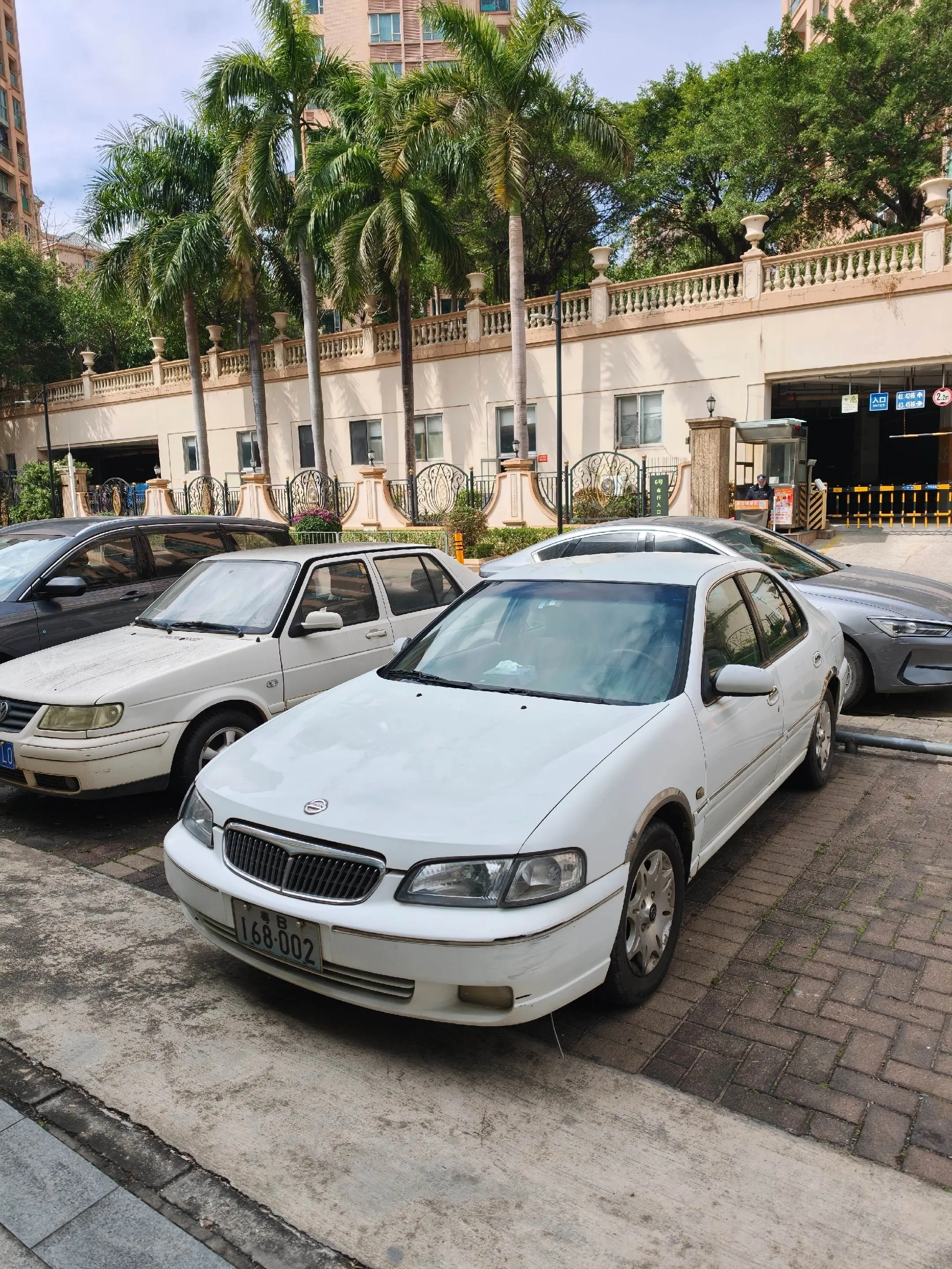 没想到遛弯还能看到这?