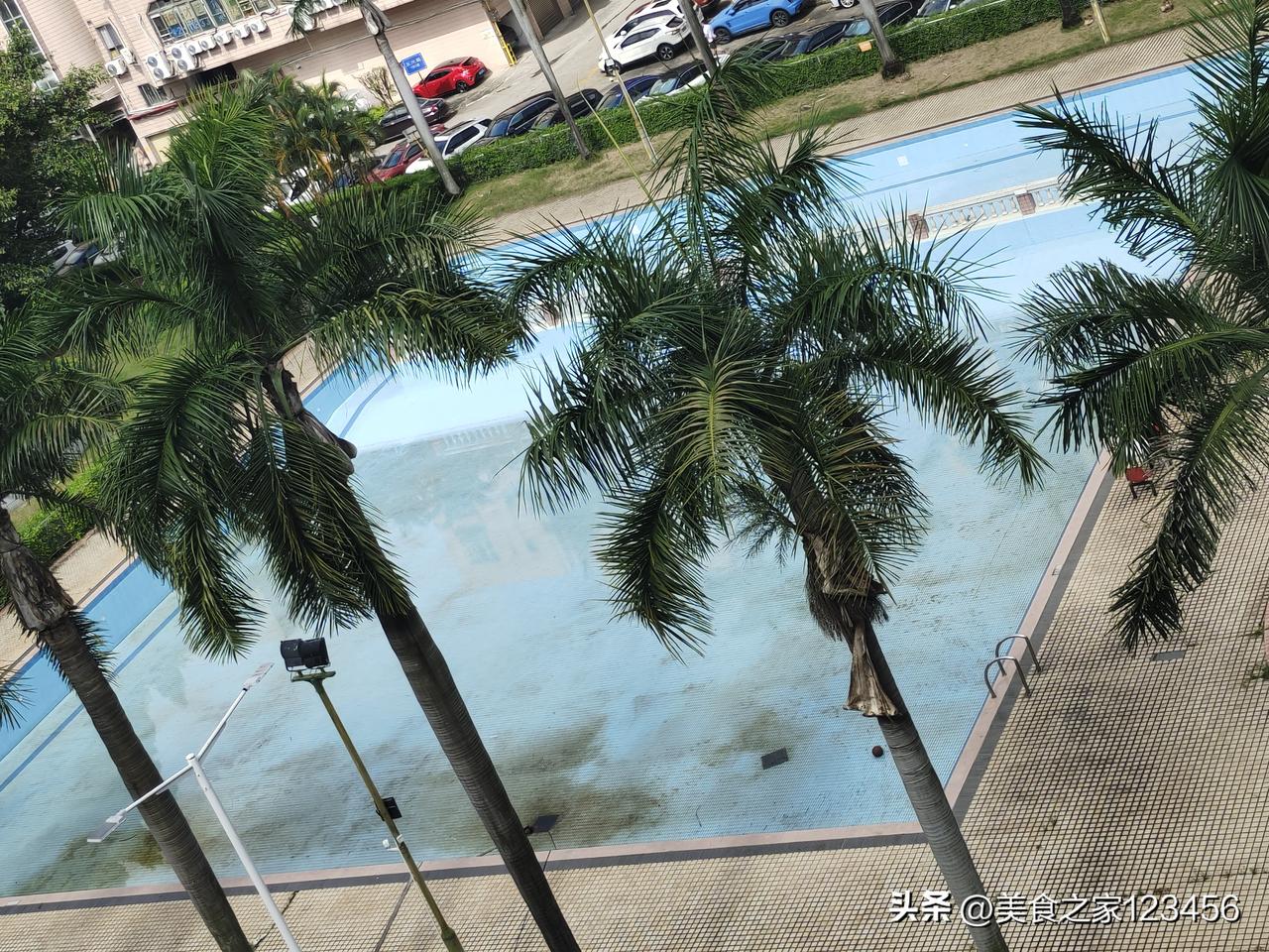 今年环境真的那么差吗？小区的游泳池到现在还在休息，往年此时已经是热闹非凡，游客众