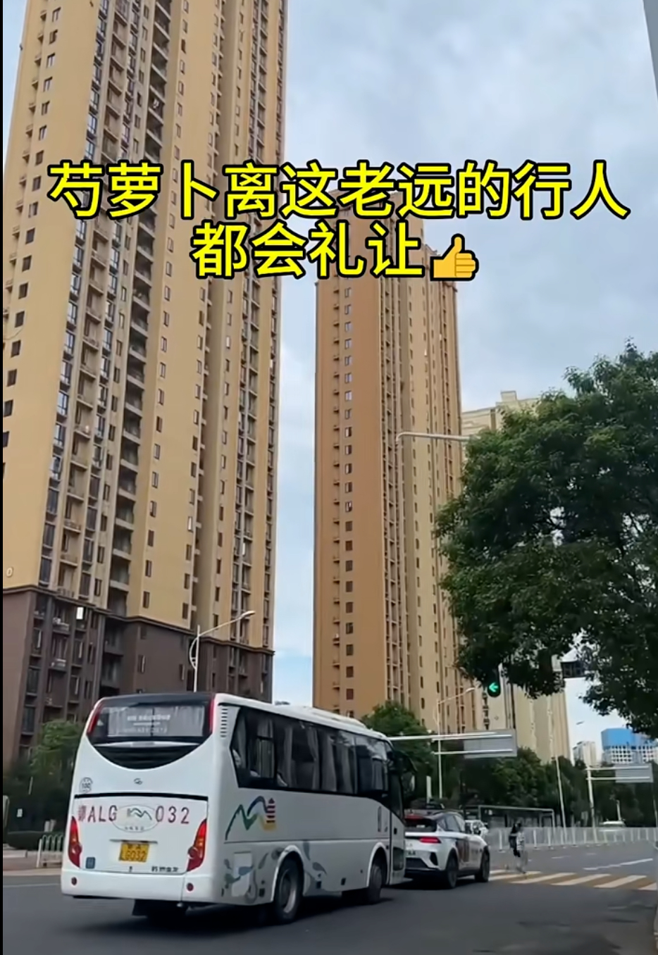 “苕萝卜快回来”？武汉萝卜快跑这事挺有意思，也引发了人与 AI共生的的思考。3月