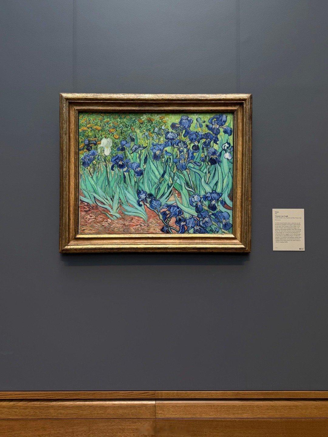 洛杉矶日记📓在Getty Center的一天去看了梵高的《Irises》因为名