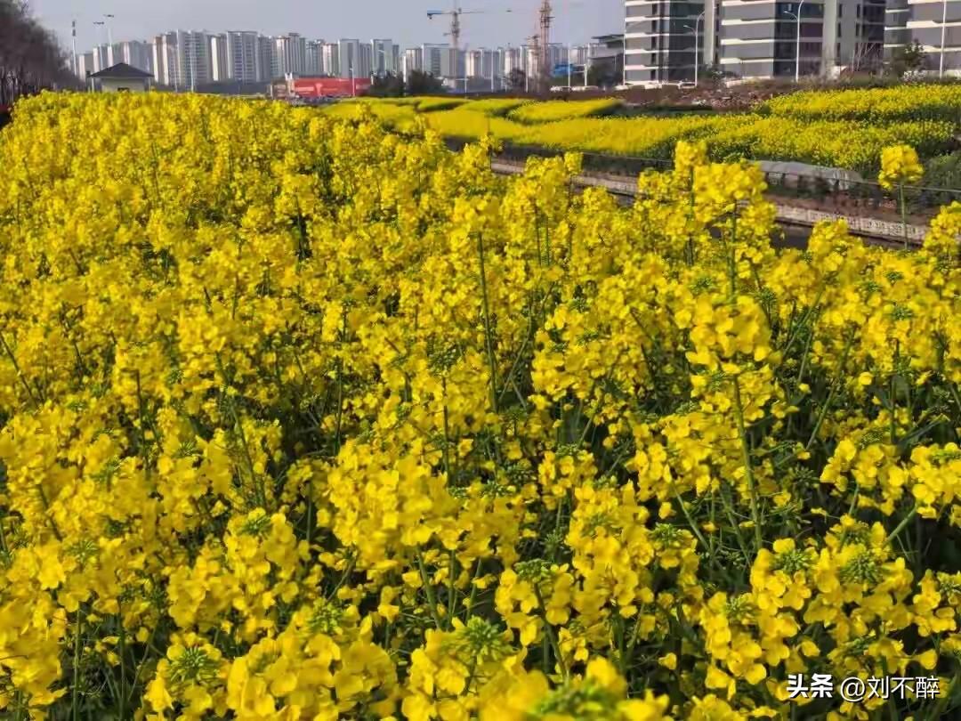 接送孩子上学都下学的家长有三类
一类是退休人员，素质较高。这类人员穿搭讲究，谈吐