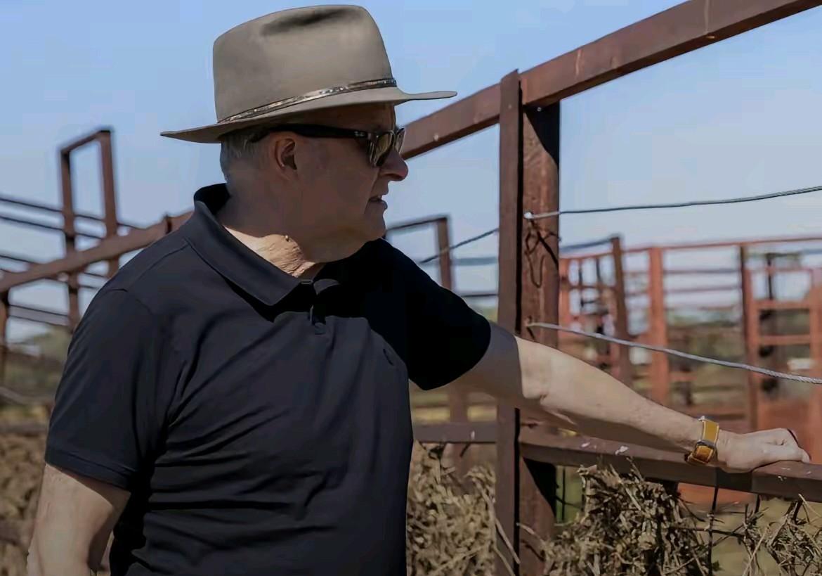 澳大利亚天塌了
在加拿大总理卡尼上周访华之后，一家中国进口商购买了一批加拿大油菜