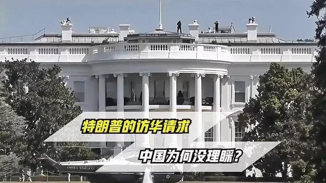 呼吁：
        中国应取消（特朗普）访华！
     美以侵略伊朗之战，