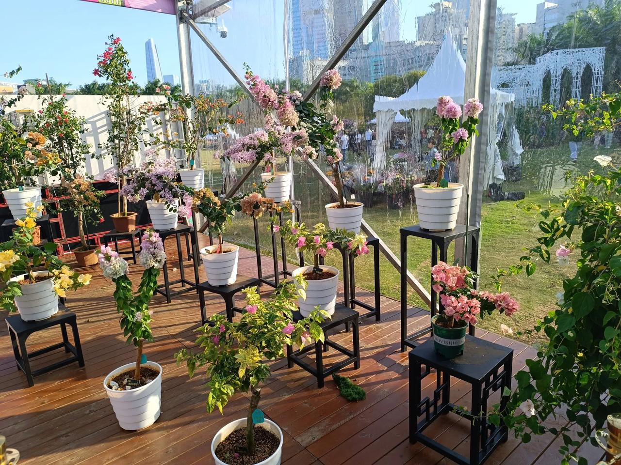 #随手记录冬日风景# 
绿意盎然中，
花影摇曳，
岁月静好。
#花园般的景色#