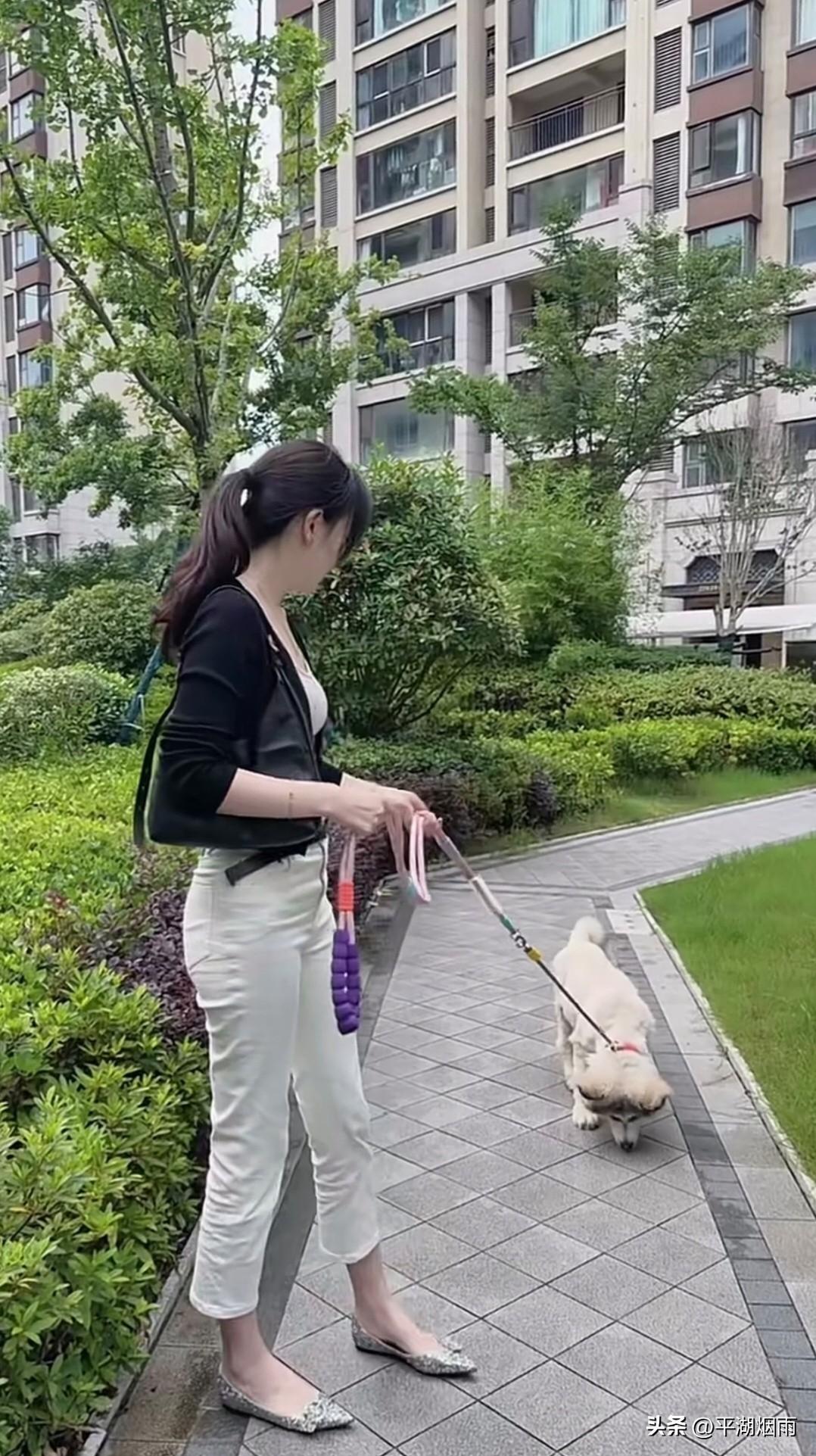 夏尽秋来，一场季节的温柔过渡
夏末的黄昏，风里已经有了秋天的味道。
夏的余温缓缓
