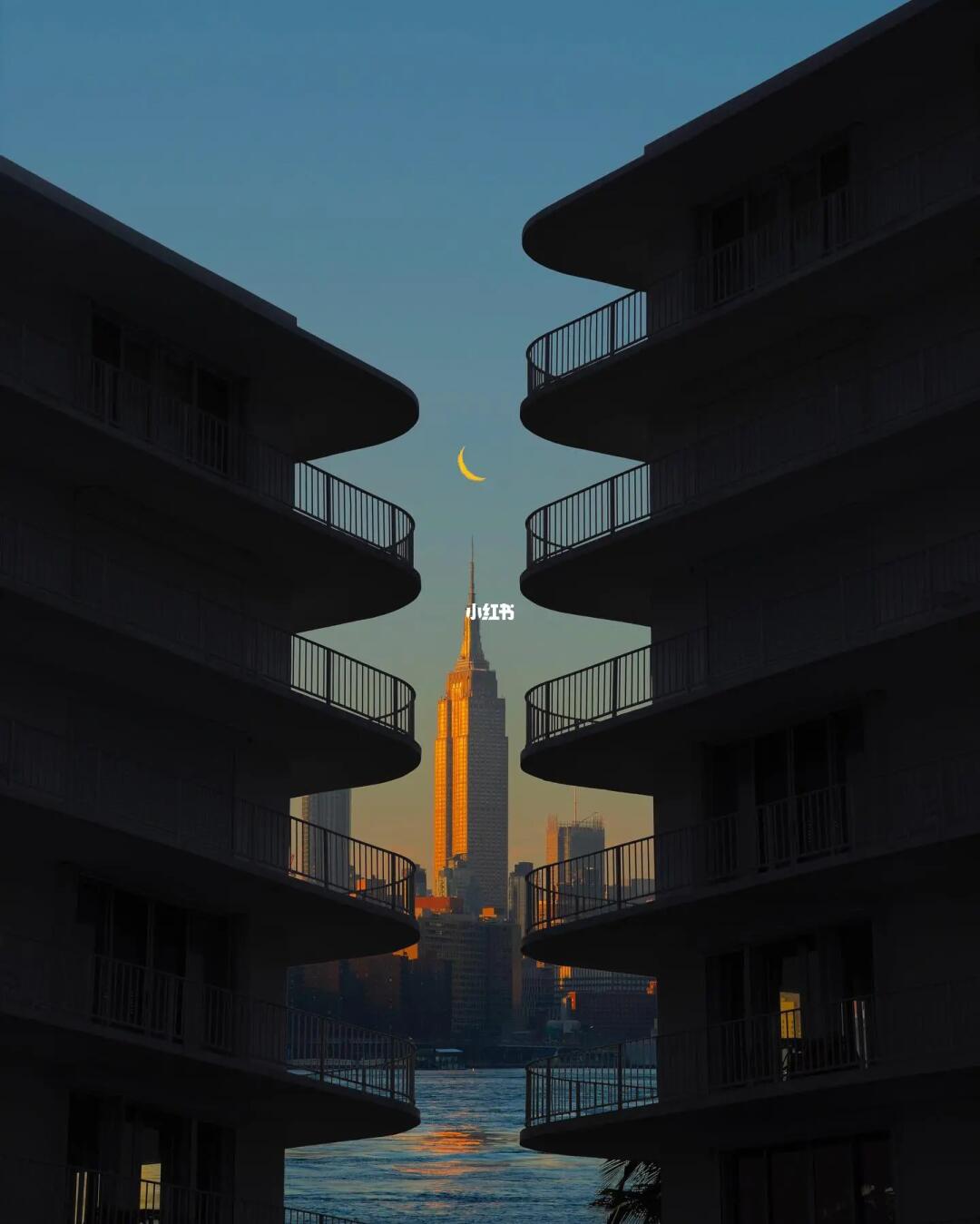 审美提升|每天认识一位摄影大师229