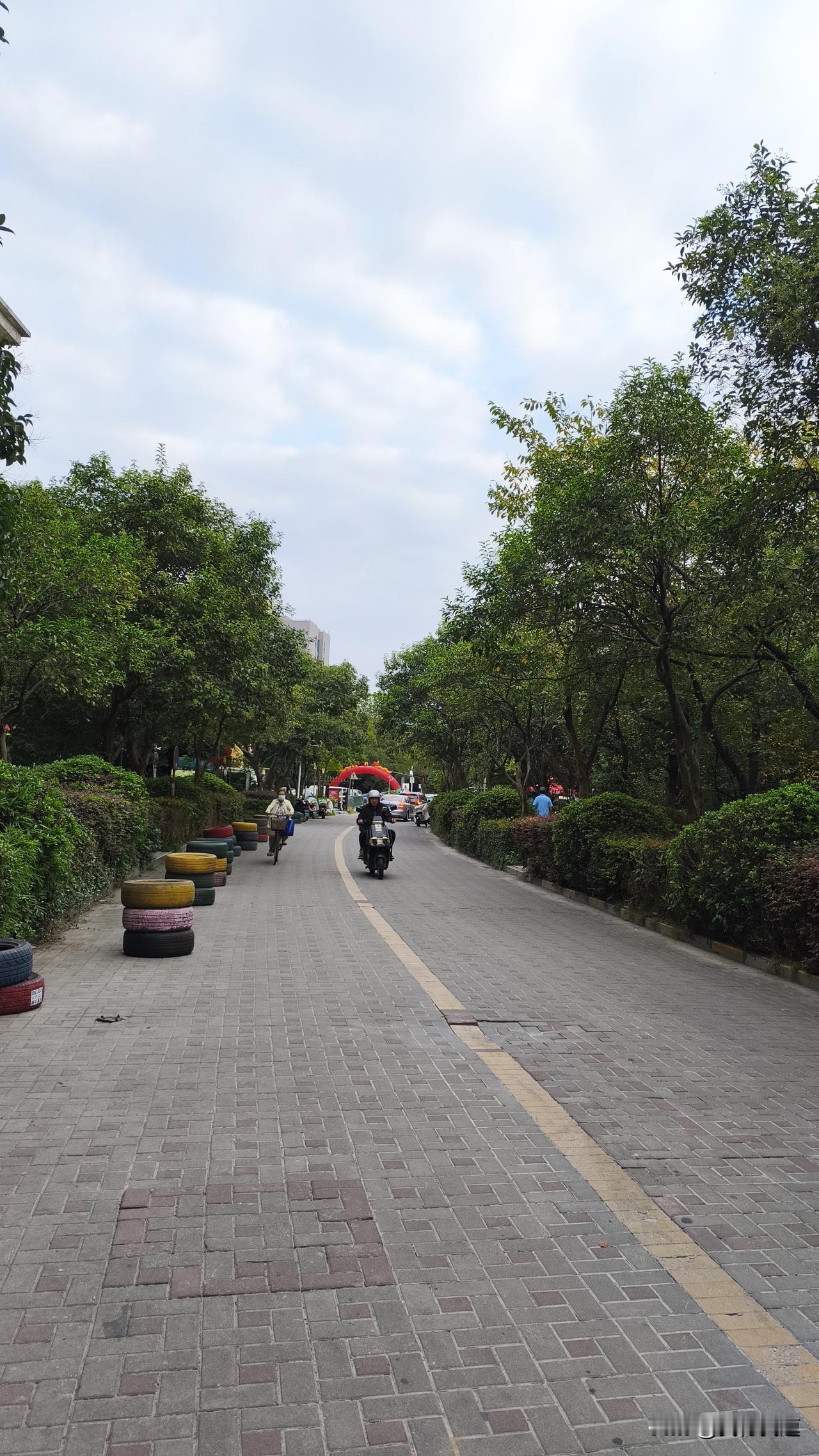 这两天出门真的像开盲盒，前一天还攥着冰奶茶穿短袖晃悠，今早下楼买豆浆被风刮得一哆