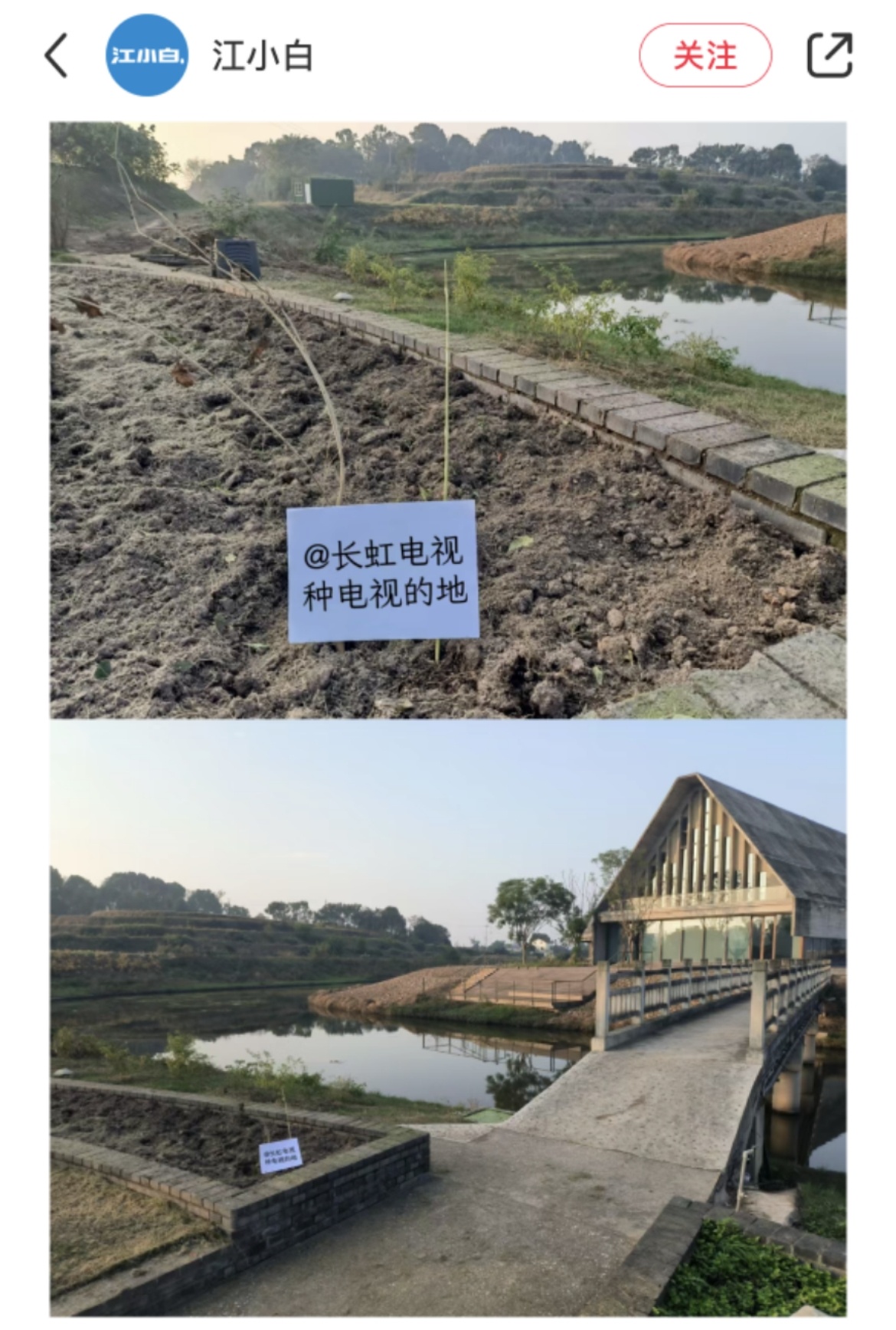 #网友喊话江小白求分地#种对象、种电视这些像话嘛！我的建议是听北京网友的种棵摇钱