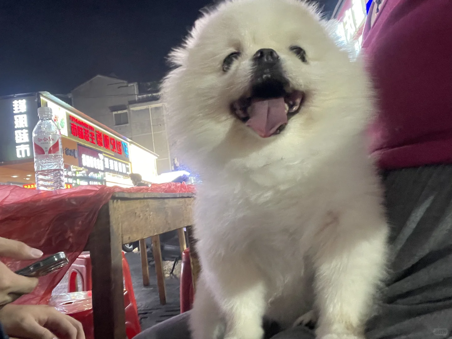 一天傻乐呵的没头脑