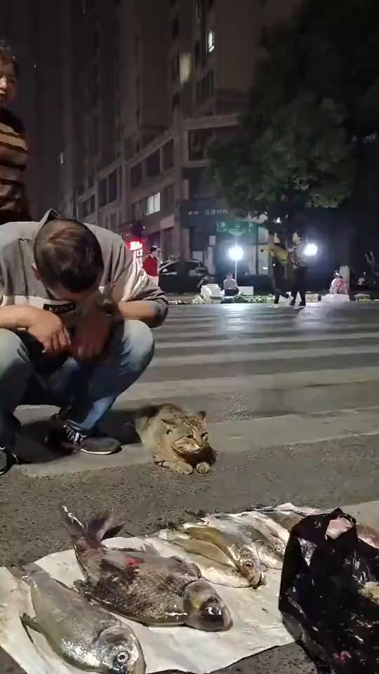 哈哈。