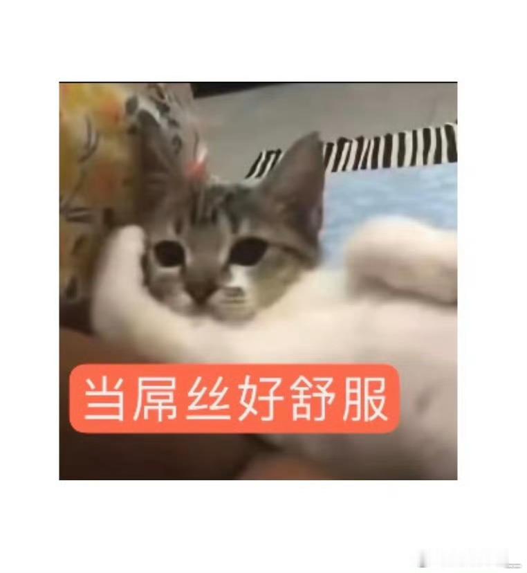 见过最有病的，遇到一个男的直播没欢迎他，他拍了一个把钱撒在路边的图给我看，说自己