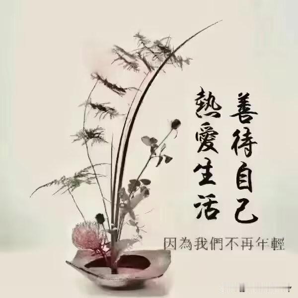 晨起！诗兴大发，随时一首，与君共勉:

岁月赠吾双鬓霜，
红尘予我满身伤。
尝遍
