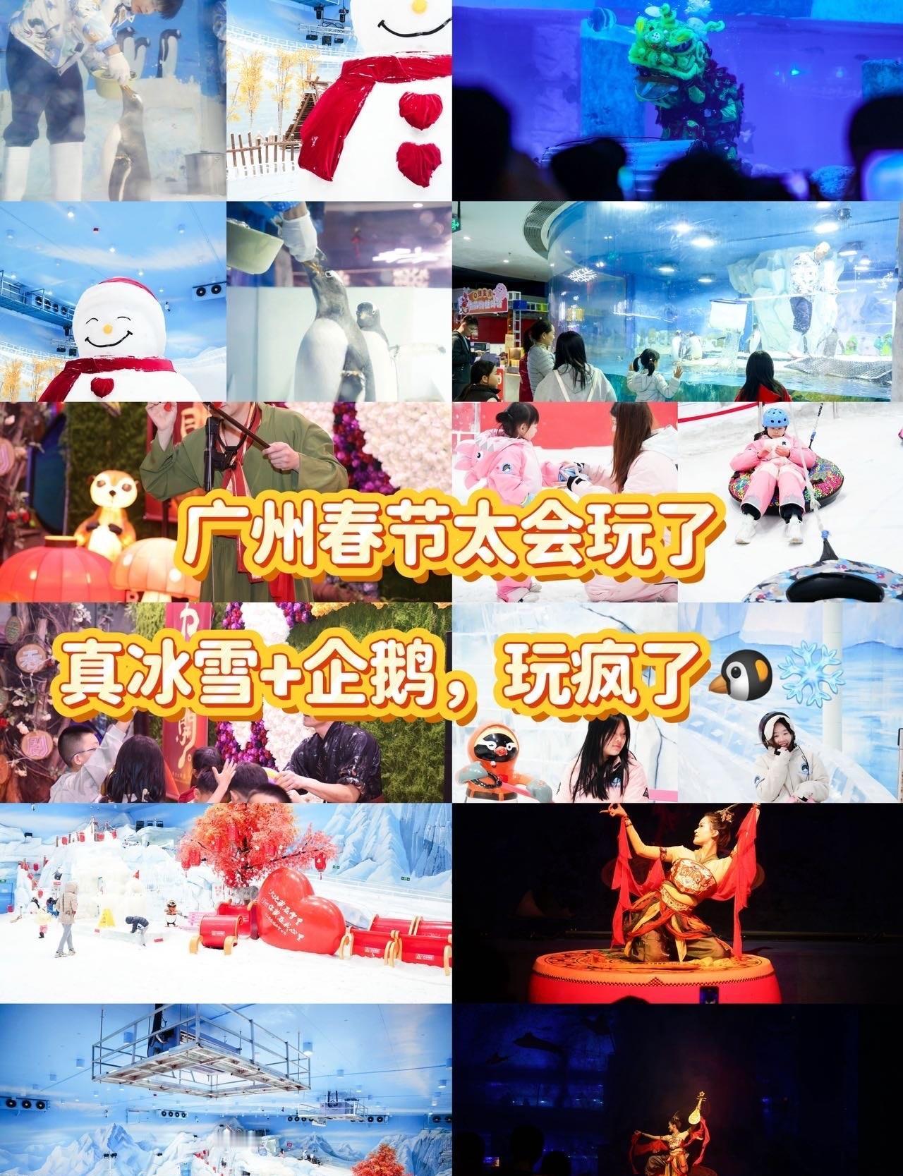 广州春节太会玩了真冰雪+企鹅，玩疯了🐧❄️
📍广州 正佳广场
救命！谁懂啊！