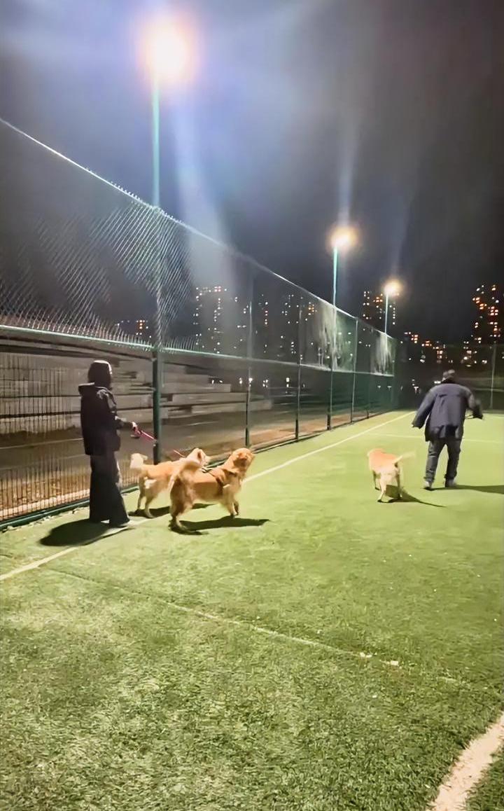 足球场里遛狗，把踢球的孩子撵到一旁，让狗撒欢玩，这对吗？
政府建设的足球场地是给